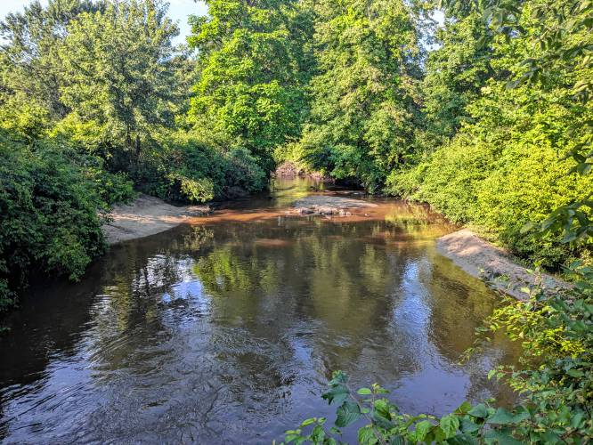 Favorite swimming hole at the Fort River in Amherst.