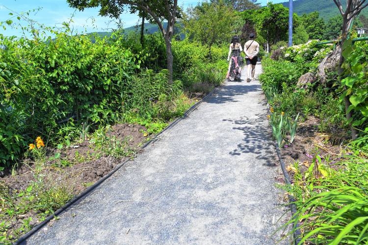 The majority of the plants on the Bridge of Flowers in Shelburne Falls have been removed in preparation for the repair project that is beginning soon.