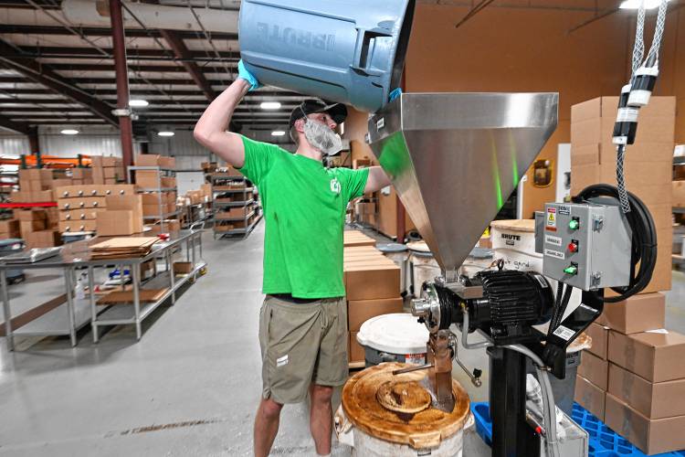 Nikko Sciandra grinds roasted beans for packaging at Fogbuster Coffee Works in Greenfield.