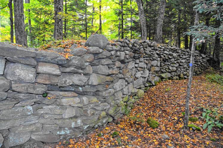 A 500-foot stone berm that once enclosed the power canal for Graves Ironworks in North Leverett.