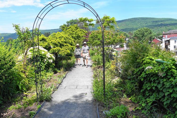 The majority of the plants on the Bridge of Flowers in Shelburne Falls have been removed in preparation for the repair project that is beginning soon.