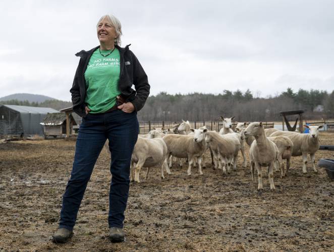 “My goal is to raise happy, healthy animals in a humane way,” says Kristen Whittle of Little Brook Farm in Sunderland.
