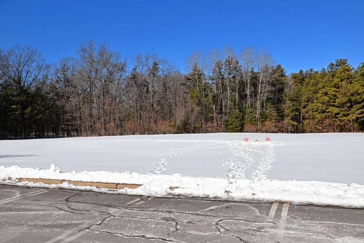 The site of the future housing project at the end of Care Drive in Erving.