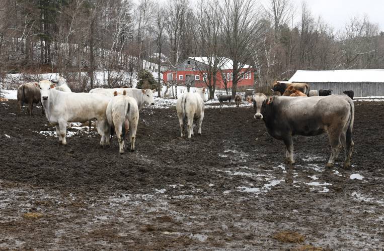 Porter Family Farm in Ashfield has been awarded a land stewardship grant for drainage improvements.