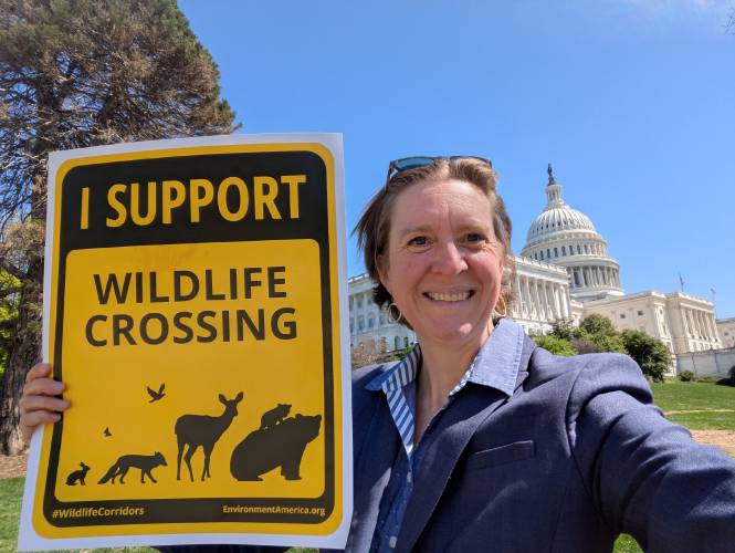 The author in Washington, D.C., last week building support for The Wildlife Movement Through Partnership Act. The author in Washington, D.C., last week building support for The Wildlife Movement Through Partnership Act.
