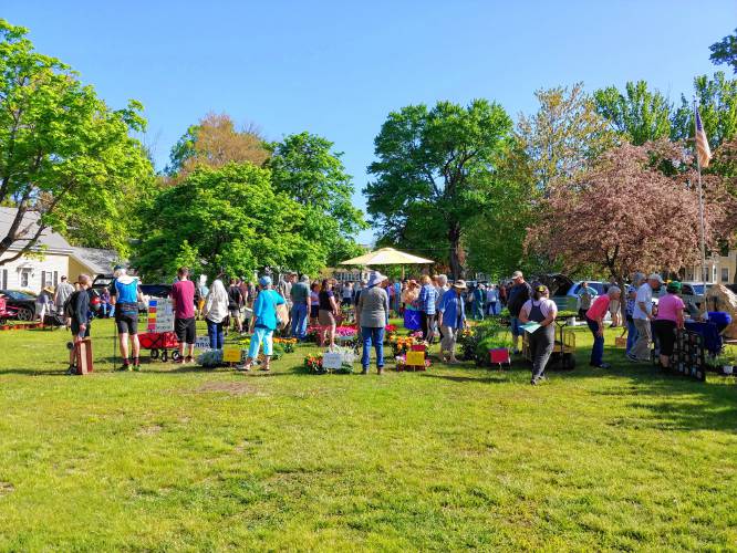 Attendees peruse flowers for sale at a previous Bridge of Flowers Plant Sale in Shelburne Falls.