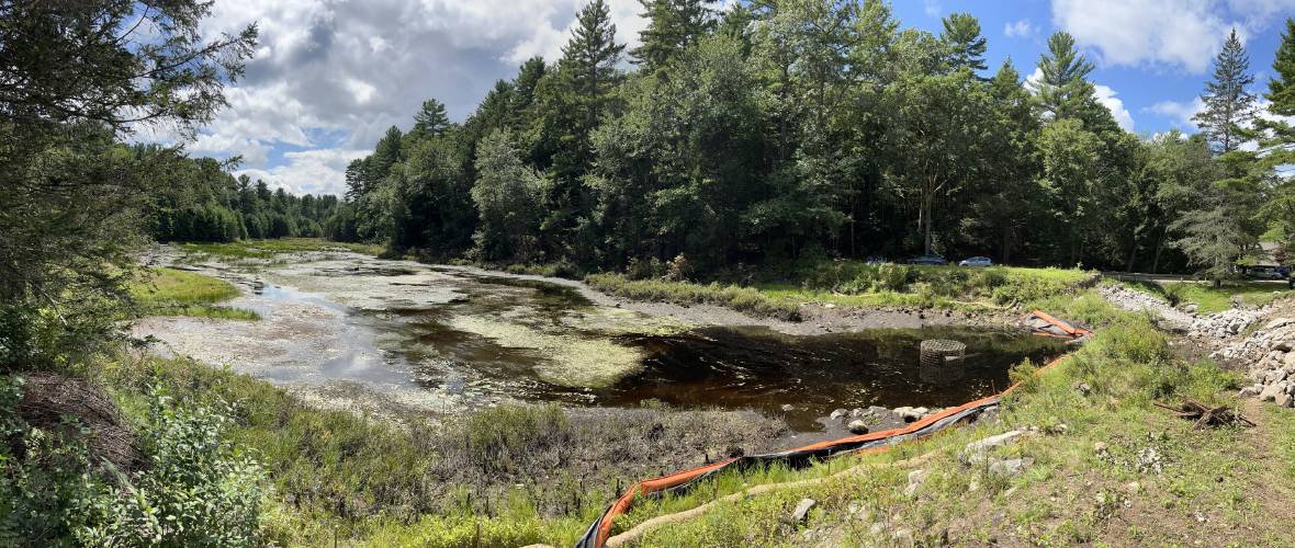 The Dudleyville Forest in Shutesbury is set to be preserved early next year. The 200 acres includes a mix of white pine and mixed hardwoods. The Dudleyville Forest in Shutesbury is set to be preserved early next year. The 200 acres includes a mix of white pine and mixed hardwoods.