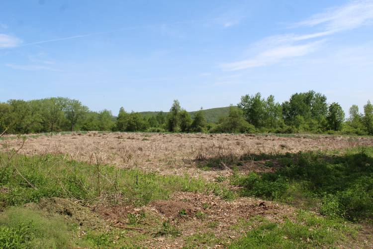 The entrance to the proposed Franklin County Sheriff’s Office Regional Dog Shelter off Plain Road East in Deerfield.