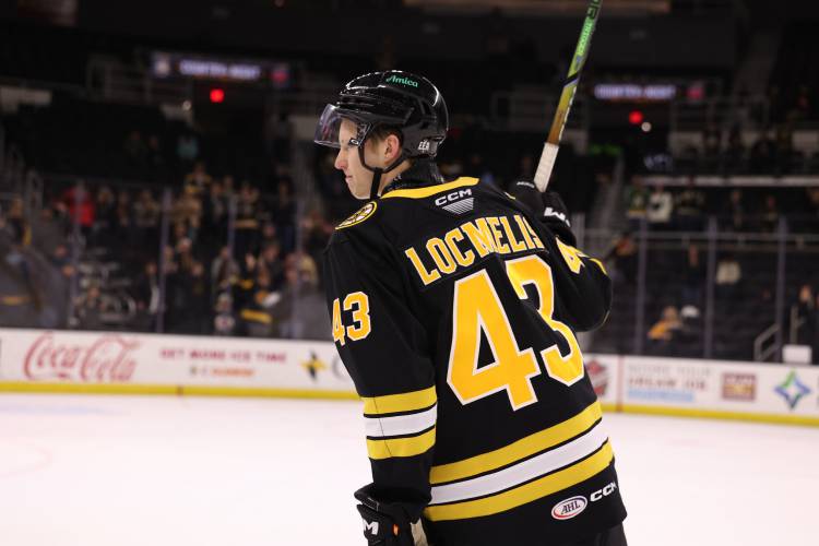 Former UMass star Dans Locmelis skates for the Providence Bruins earlier this season.