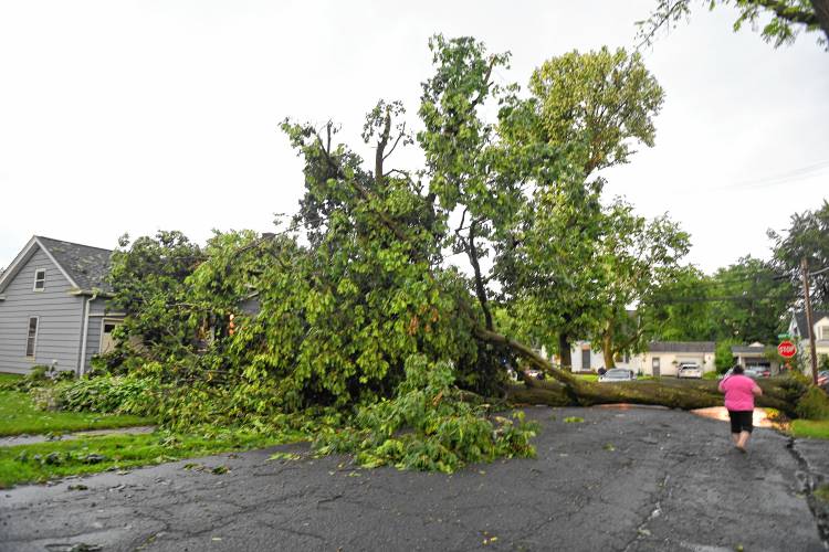 This tree fell across Raingley Road in Greenfield in the wake of severe storms on Tuesday.