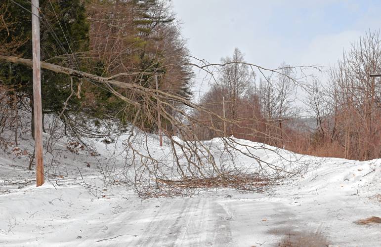 ABOVE: Tower Road in Charlemont was blocked by a tree on wires amid Monday’s high winds.