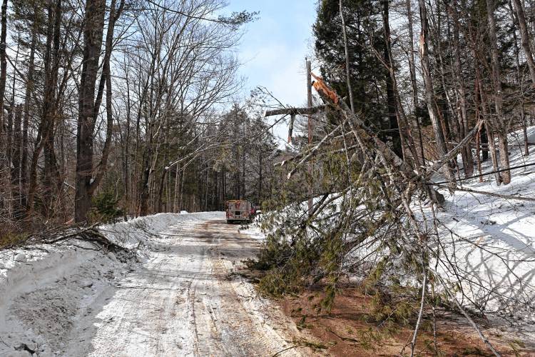 Trees on wires were a common theme in western Franklin County on Monday amid high winds. Pictured is West Hawley Road (Route 8A) in Hawley.