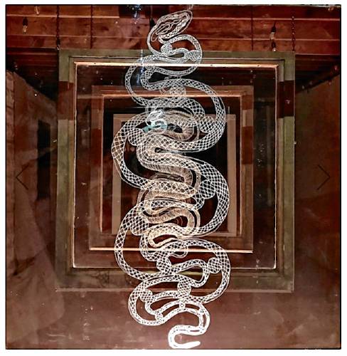 “Shed Your Skin,” by Greenfield mixed media artist Annaleah Moon Gregoire. Gregoire’s work will be on display at the Salmon Falls Gallery in Shelburne Falls throughout May and June.