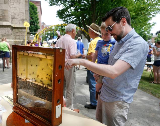 Dave DeRicco looks at live bee samples with his son Harris, then 2, during the 2018 Bee Fest in Greenfield. The 14th annual event returns Saturday.