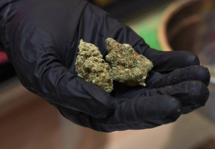 Marijuana establishments in Massachusetts generated more than $1.64 billion in gross sales in 2024, setting a new annual record for the state. Marijuana establishments in Massachusetts generated more than $1.64 billion in gross sales in 2024, setting a new annual record for the state.