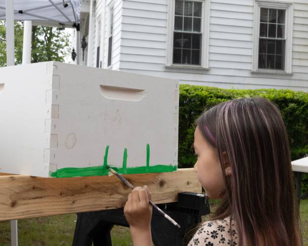 Seven-year-old Freya paints a panel on a bee hive box at Saturday’s Bee Fest.