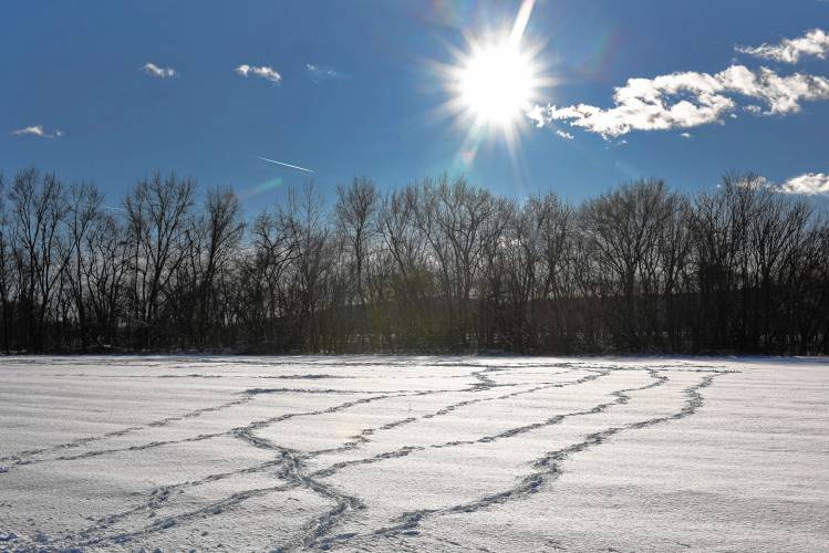 Critter tracks, probably from deer, break up the freshly fallen snow in this Montague field on Monday. Critter tracks, probably from deer, break up the freshly fallen snow in this Montague field on Monday.
