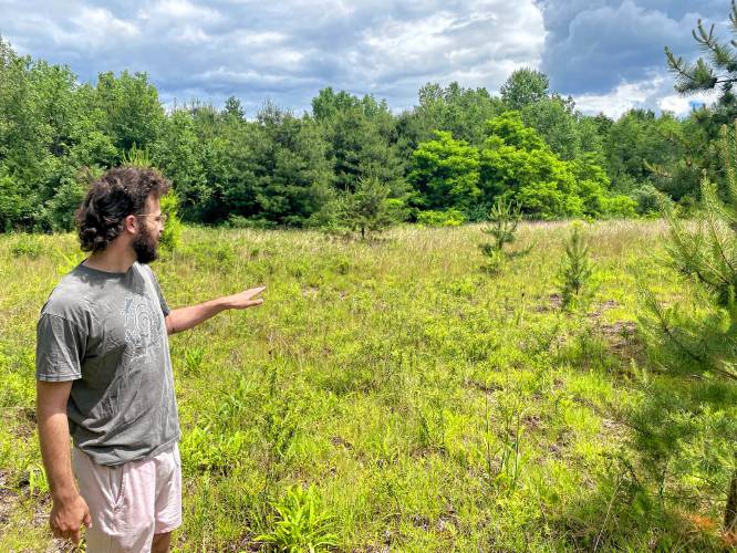 Conway School of Landscape Design student Ben Silverstone at the Wissatinnewag site in Greenfield.